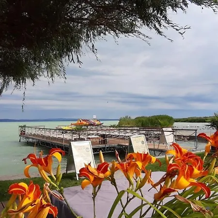 Bori Villa Siofok